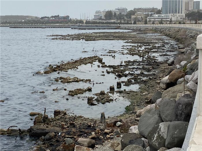 Xəzər dənizində suyun səviyyəsi niyə aşağı düşür? - AÇIQLAMA