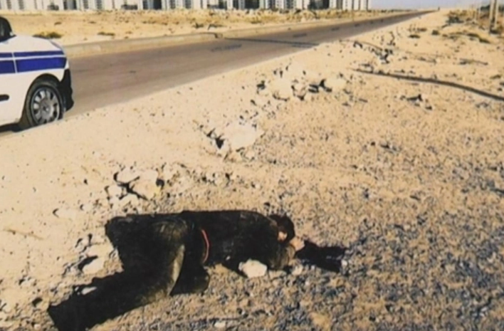 Bakıda yaşayış kompleksinin mühafizəçisini döyə-döyə öldürdülər - Hadisə yerindən GÖRÜNTÜLƏR