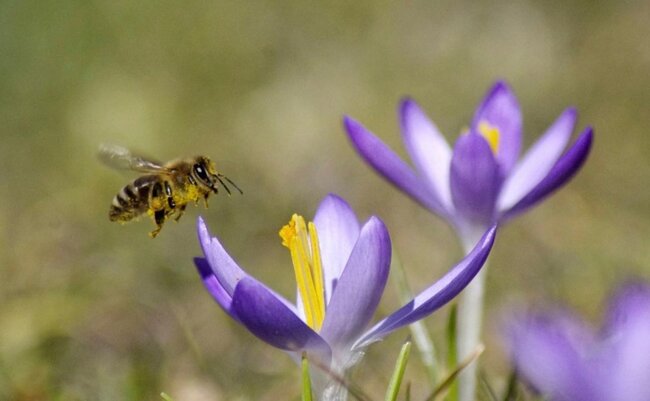 Sabah 23 dərəcə isti olacaq