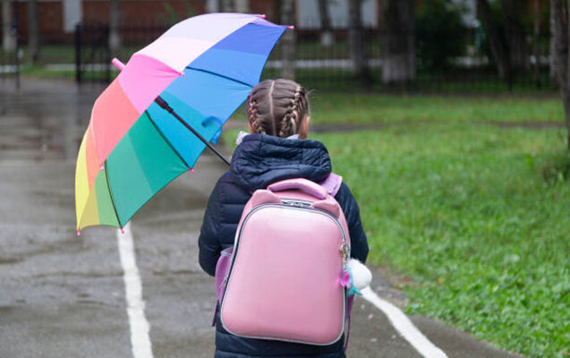 Şagirdlərin davamiyyətində qismən azalma var - Rəsmi