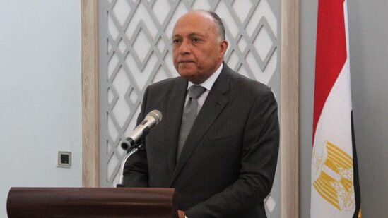 Misirin xarici işlər naziri sabah Türkiyəyə gəlir