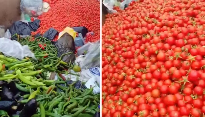 Bazarda sağlam tərəvəzlər niyə zibilə atılıb? - VİDEO