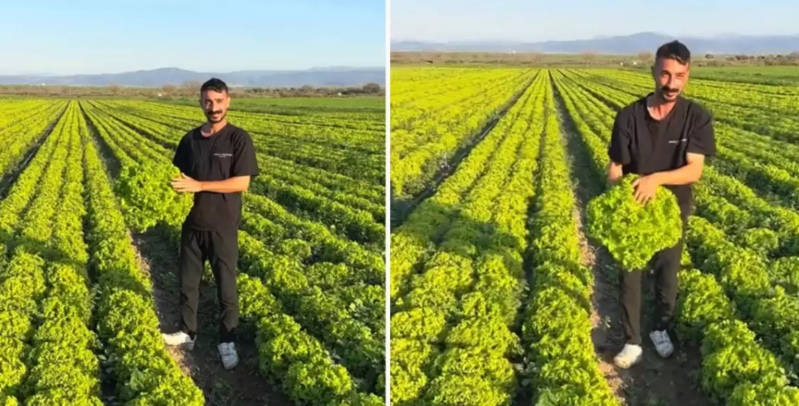 Əkinçi üsyan etdi: "Satsam şərəfsizəm, qoyunları otladacam" - VİDEO