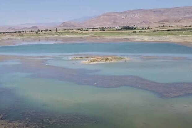 Sirab su anbarının içində taxıl əkilib - VİDEO