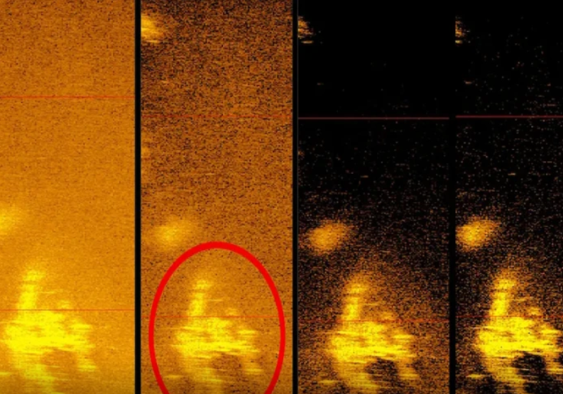 Sakit okeanda yoxa çıxan ilk qadın pilotun 87 il sonra QALIQLARI TAPILDI