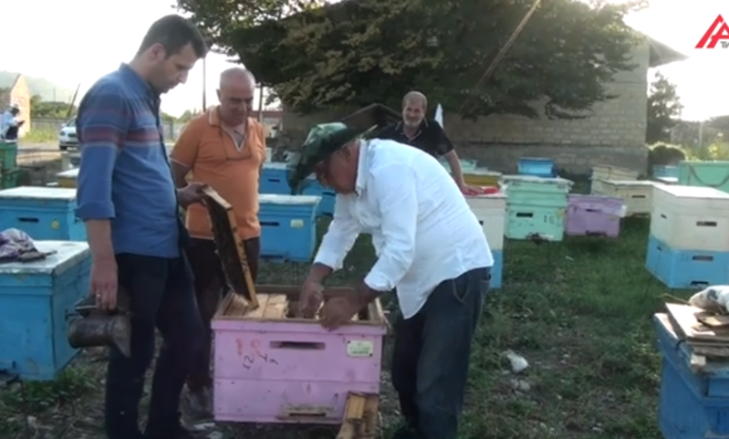 Saxta bal gətirib satırlar: Qubanın adı ÇIXIR - VİDEO