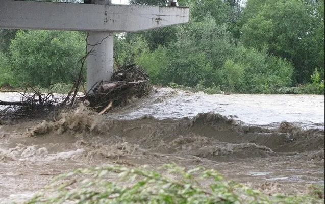 Bu çaylardan sel keçir