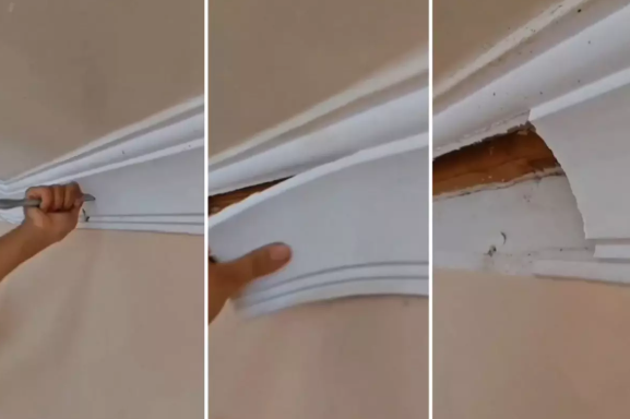 Azərbaycanda bir ailə evinin tavanından cadu tapdı - VİDEO