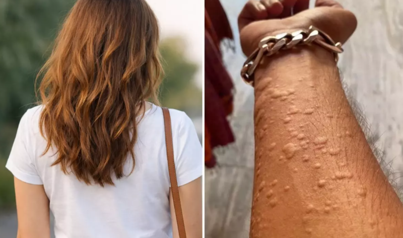 Sevgilisinin evinə gedən qadın, bu fotonu paylaşıb yardım istədi