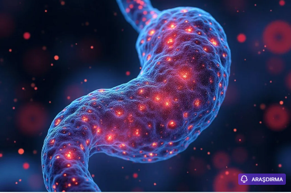 Şiş yaranmamışdan əvvəl təhlükə: Xərçəng immun sistemini necə aldadır?