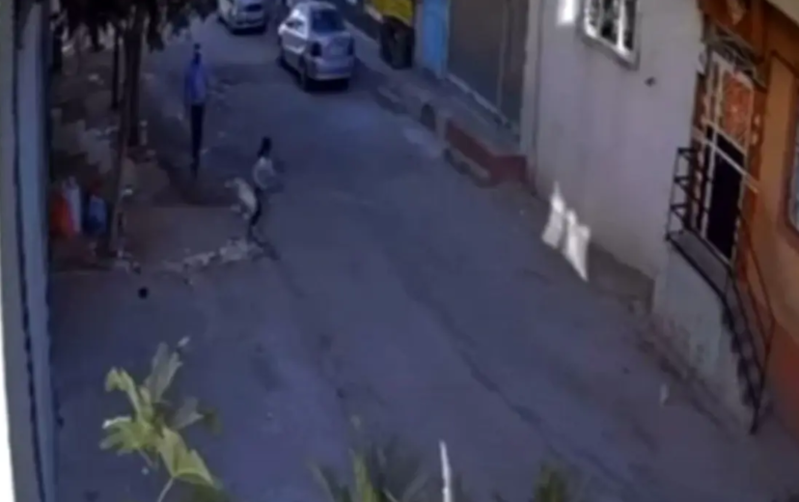 Azyaşlıya cinsi istismar iddiası ilə saxlanılan şəxs həbs olunub - VIDEO