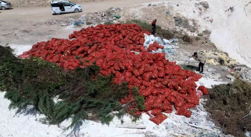 Tonlarla soğanı boş əraziyə atdılar, sakinlər sağlamlarını topladı