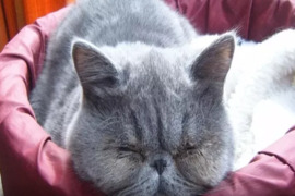 .