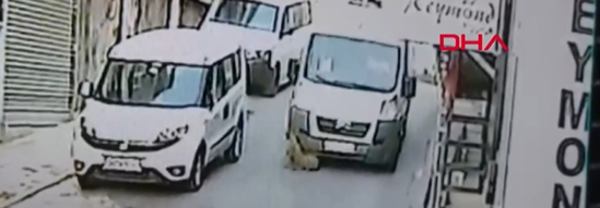 Avtobus iti əzib, sürüyərək öldürdü - DƏHŞƏTLİ VİDEO