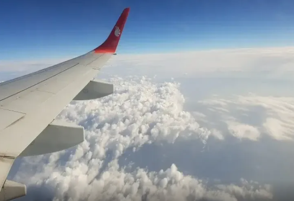 Niyə təyyarələrdə pomidor şirəsi verilmir?