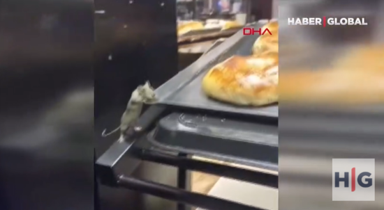 Şirniyyatlar arasında "gəzişən" siçan ürək bulandırdı - VİDEO