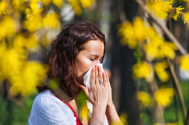 Yazda tozcuqlara qarşı allergiyanın qarşısını necə almaq olar? - Rusiyalı həkimdən sadə üsullar