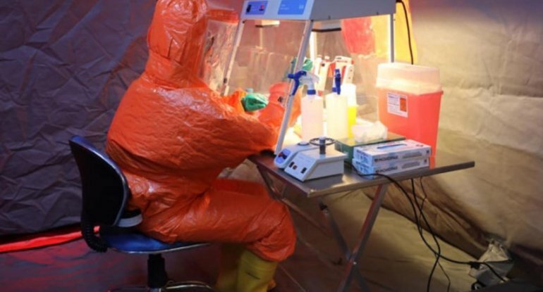 Yeni quş qripi virusu aşkarlandı