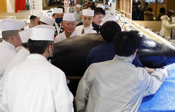 Yaponiyada tuna balığı hərracda rekord qiymətə satıldı