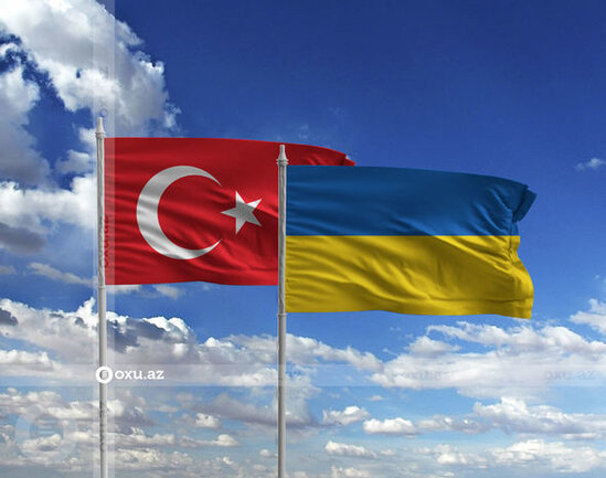 Ukrayna Türkiyədən dəstək istədi - FOTO