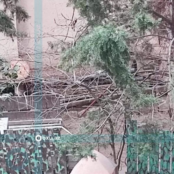 Səbail sakinləri: "Qurudulan yaşıllıq sahədə abadlıq işləri aparılmayıb" - ŞİKAYƏT + FOTO