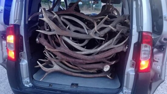 Avtomobilə baxış zamanı içindən görün nə çıxdı