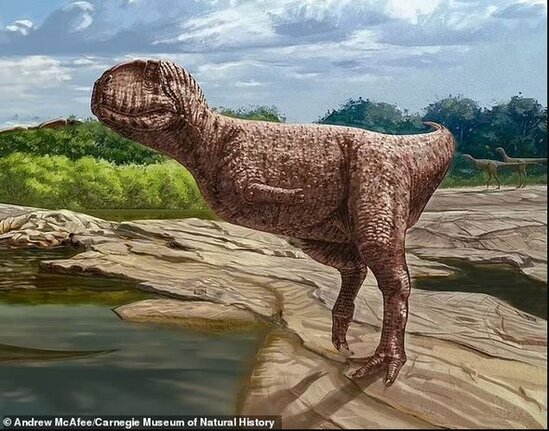 Buldoq üzlü yeni dinozavr növünün qalıqları tapılıb - FOTO