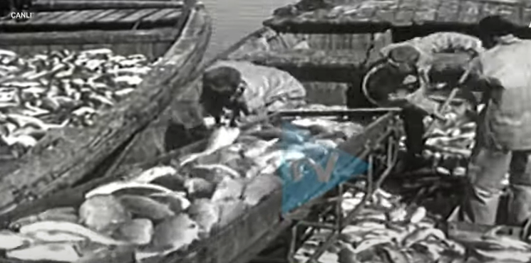 1960-cı illərdə Azərbaycanda balıq belə tutulurdu! - ARXİVDƏN GÖTÜNTÜLƏR