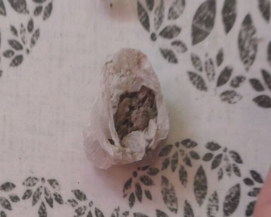 Onlayn yolla narkotik alan şəxs tutulub - FOTO/VİDEO