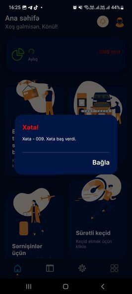 "Smart Customs" tətbiqində problem yaranıb - FOTO