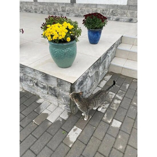 Mehriban Əliyeva Zəngilandan daha bir görüntü paylaşdı - FOTO