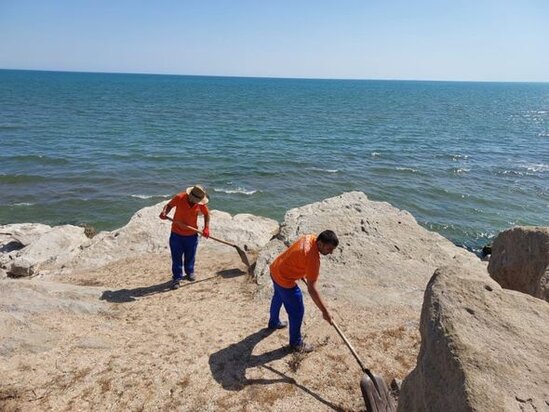 Xəzər sahili sökülən qanunsuz tikililərin qalıqlarından təmizlənir - FOTO