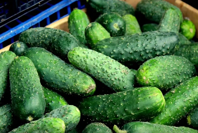 Niyə hər gün mütləq xiyar yemək lazımdır? - çoxlarının bilmədiyi 8 üstünlük