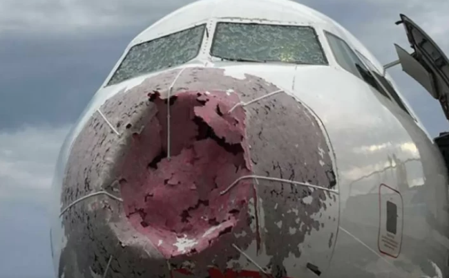 Avstraliyada təyyarə quşlarla TOQQUŞDU