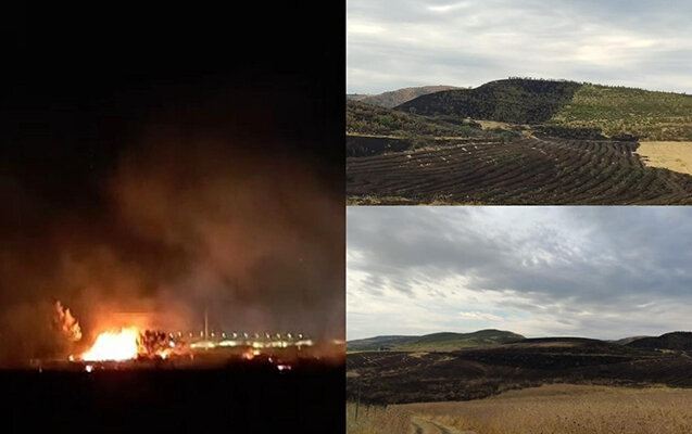 Şabrandakı yanğına görə 2 nəfər saxlanıldı - Foto