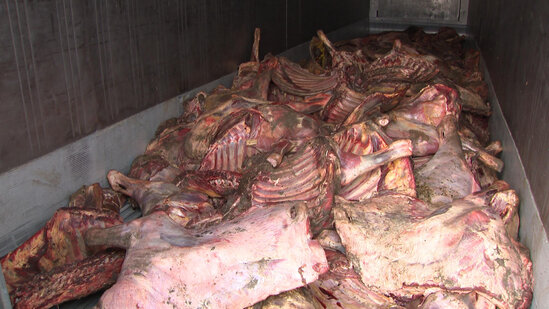 Bakıda külli miqdarda mənşəyi məlum olmayan ət aşkarlandı