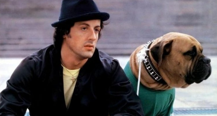 Öz yaxın dostunu 40 dollara satan Silvester Stallone elə günlərə qalıb ki... - Rembonun acı hekayəsi