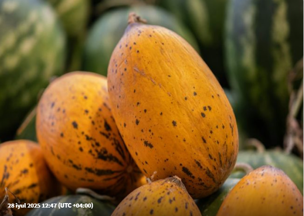 Heç vaxt belə yemişi almayın