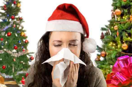 Yeni il ağacları allergiyası olanlar üçün təhlükəlidirmi? - Həkimdən açıqlama