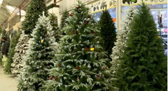 Yeni il ağacları təhlükəli ola bilər