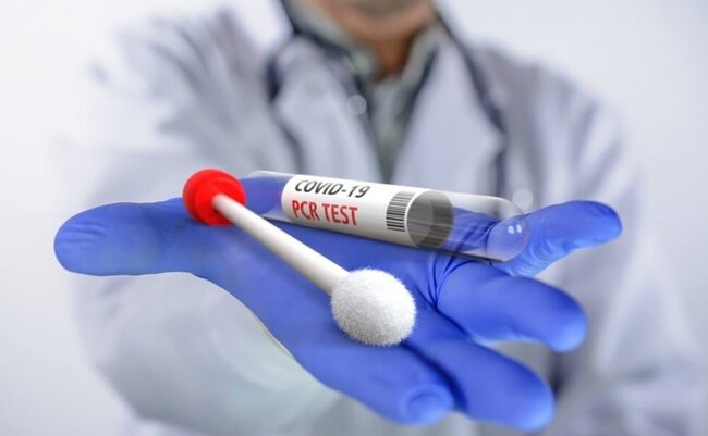 Yoluxanların sayı açıqlandı