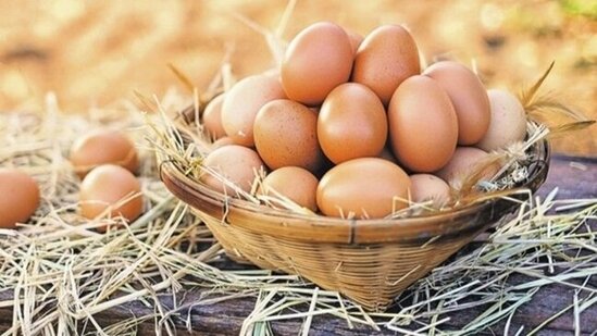 Yumurtanın qiyməti bahalaşdı