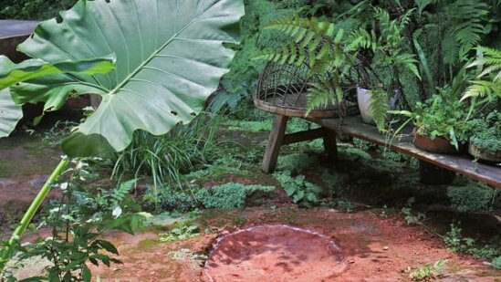 Çində 100 milyon il əvvələ aid dinozavrın ayaq izləri tapıldı