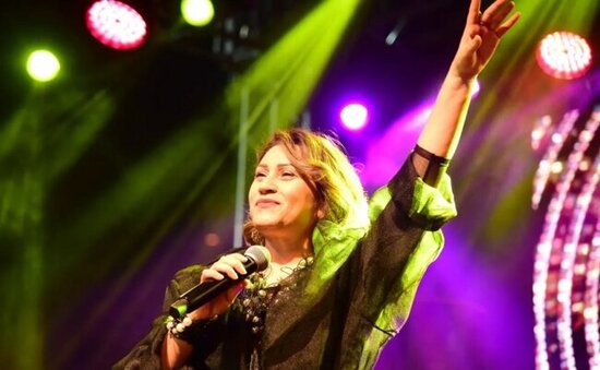 "Bayrağımızı Zəngəzurdan asacağıq!" - Azərin