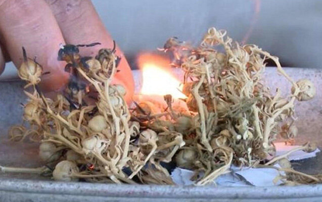 "Üzərlikdən istifadə məhdudlaşdırıla bilər" - Nazirlik