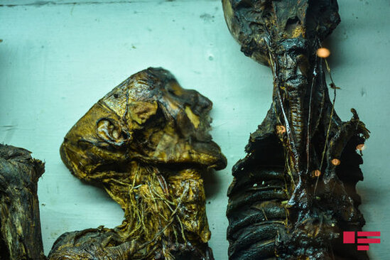 Alim: "Tək yaralı yerimiz meyit azlığıdır" - FOTO